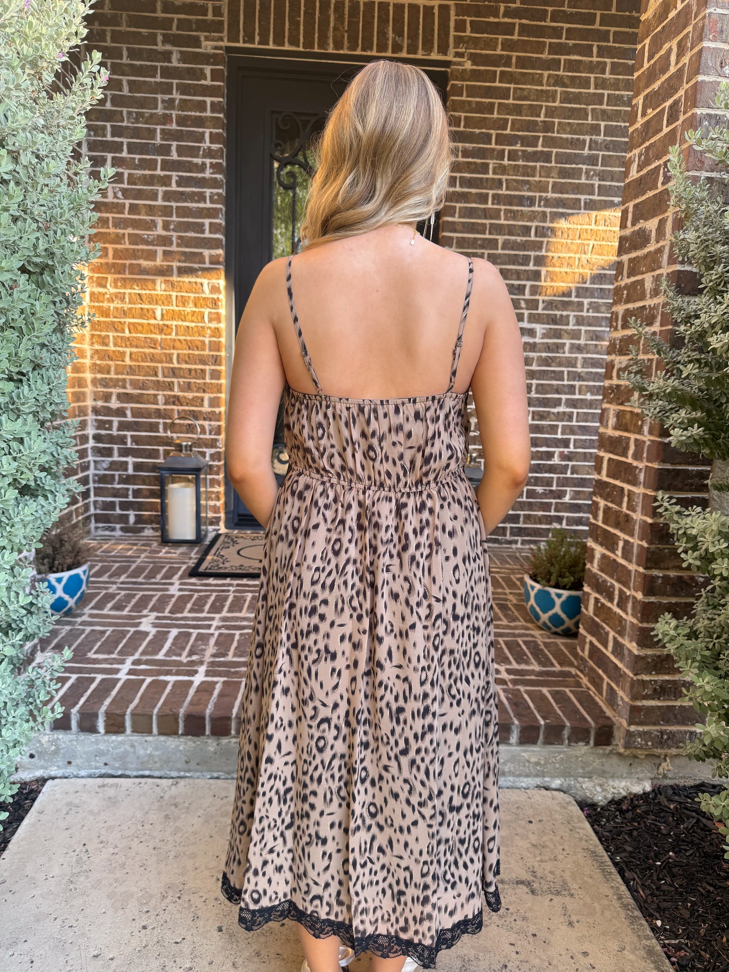 Wild Elegance Leopard Lace Dress