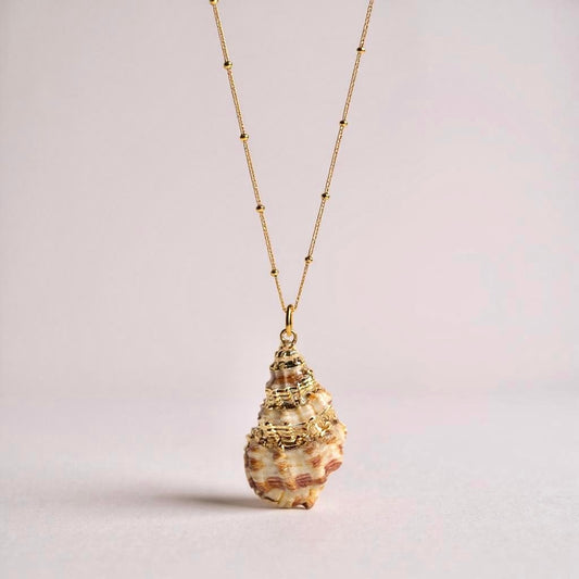 Gold Conch Shell Necklace